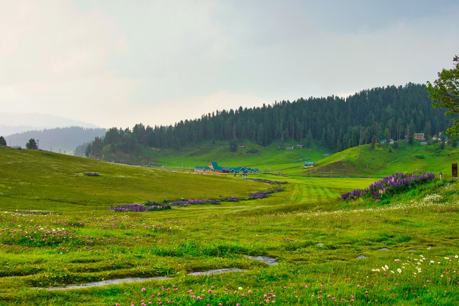 Grand Kashmir Tour Package