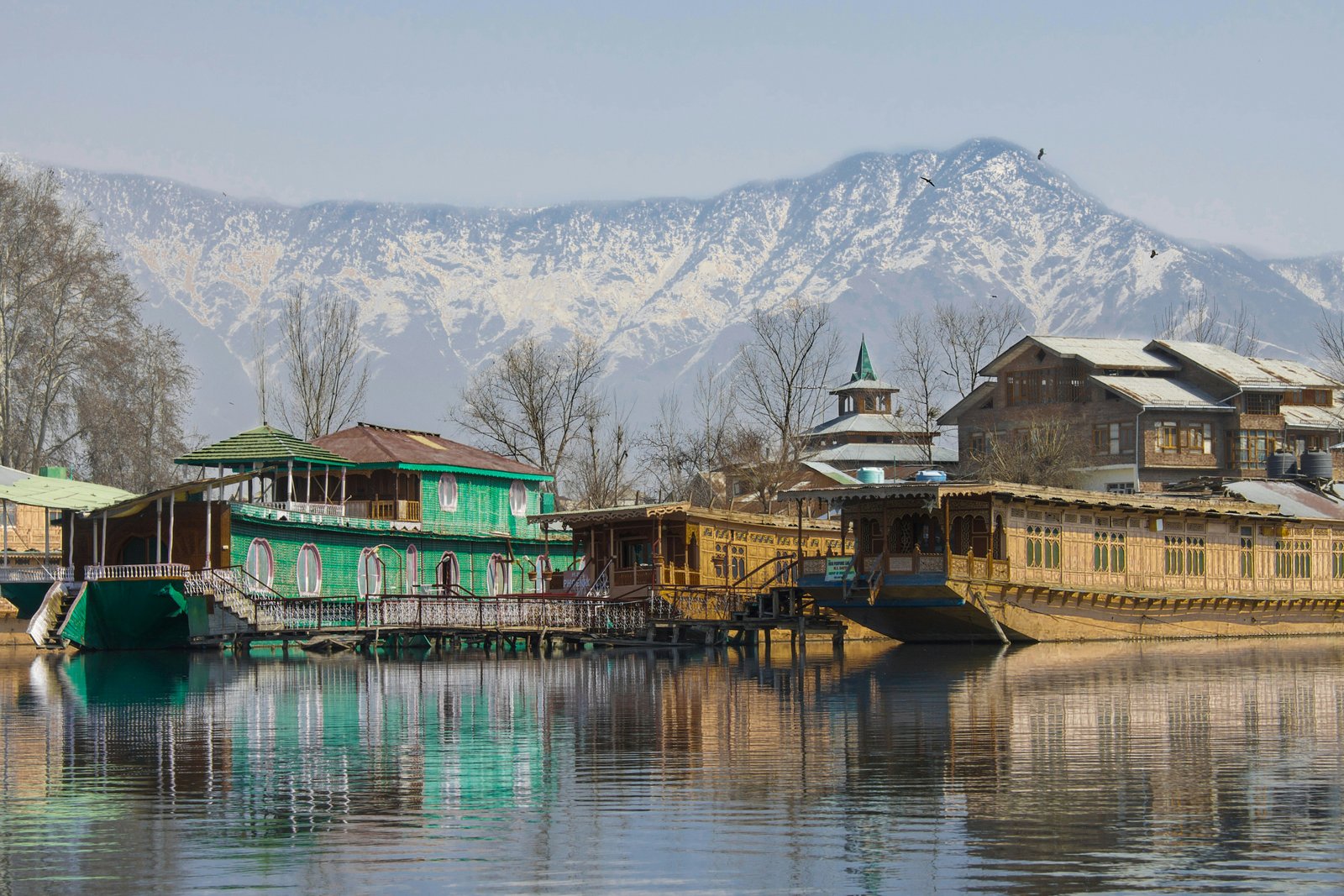 kashmir