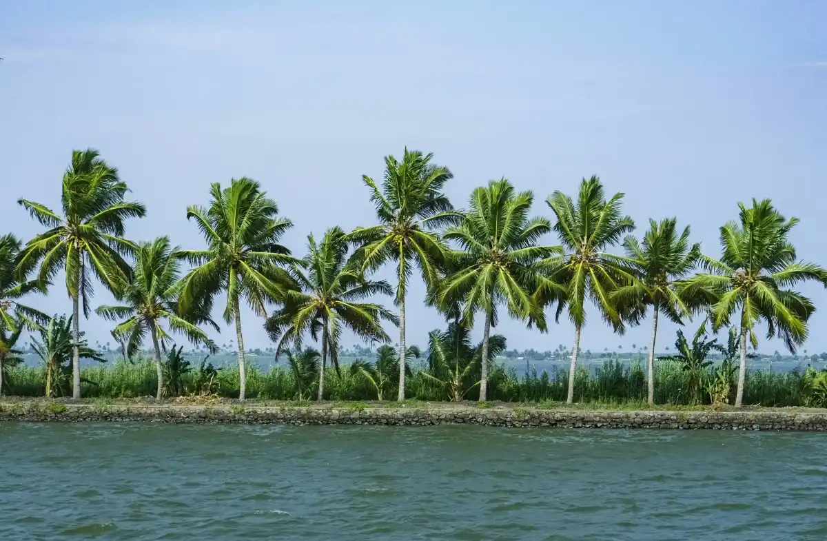 Tales of Kerala
