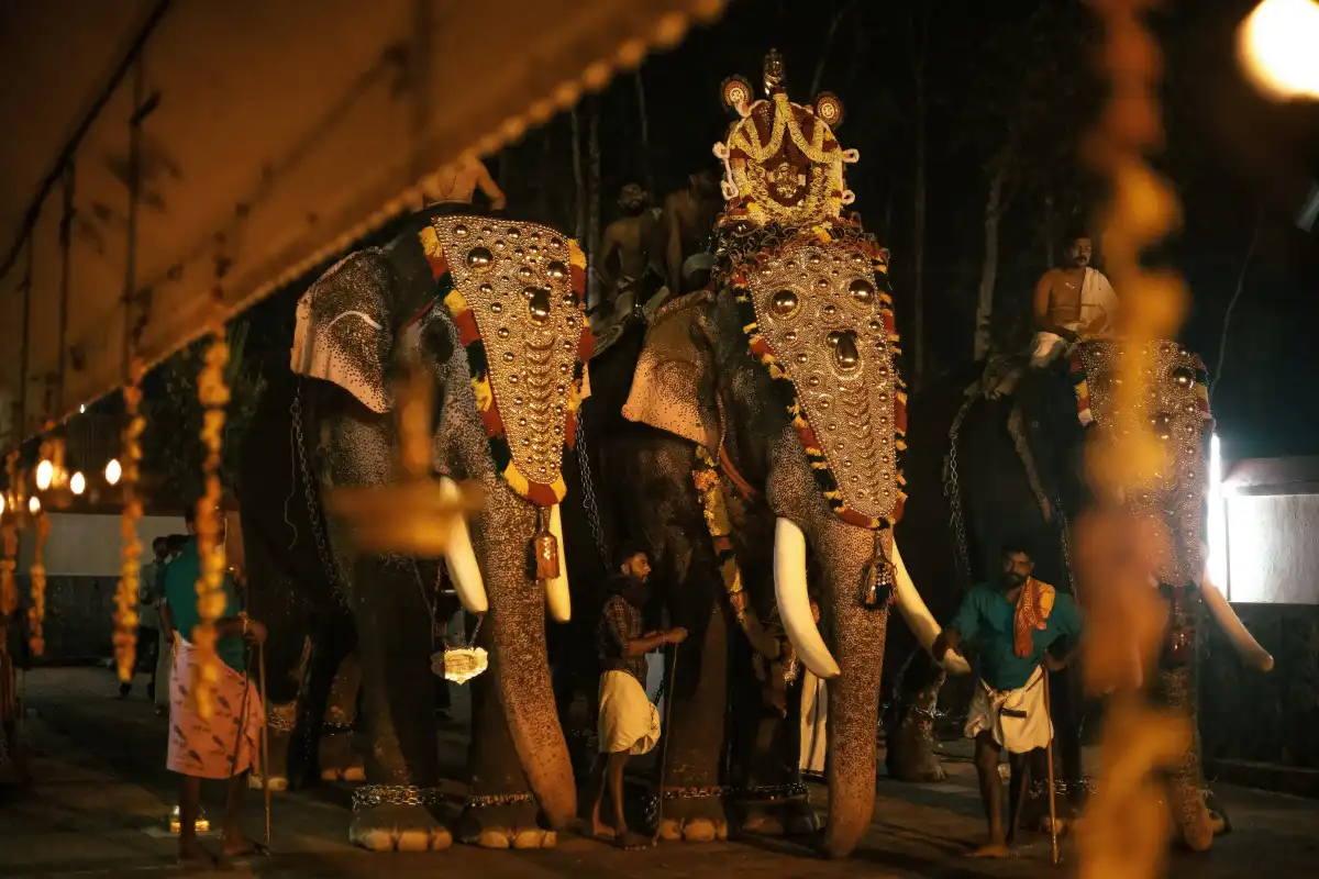 Kerala Highlights