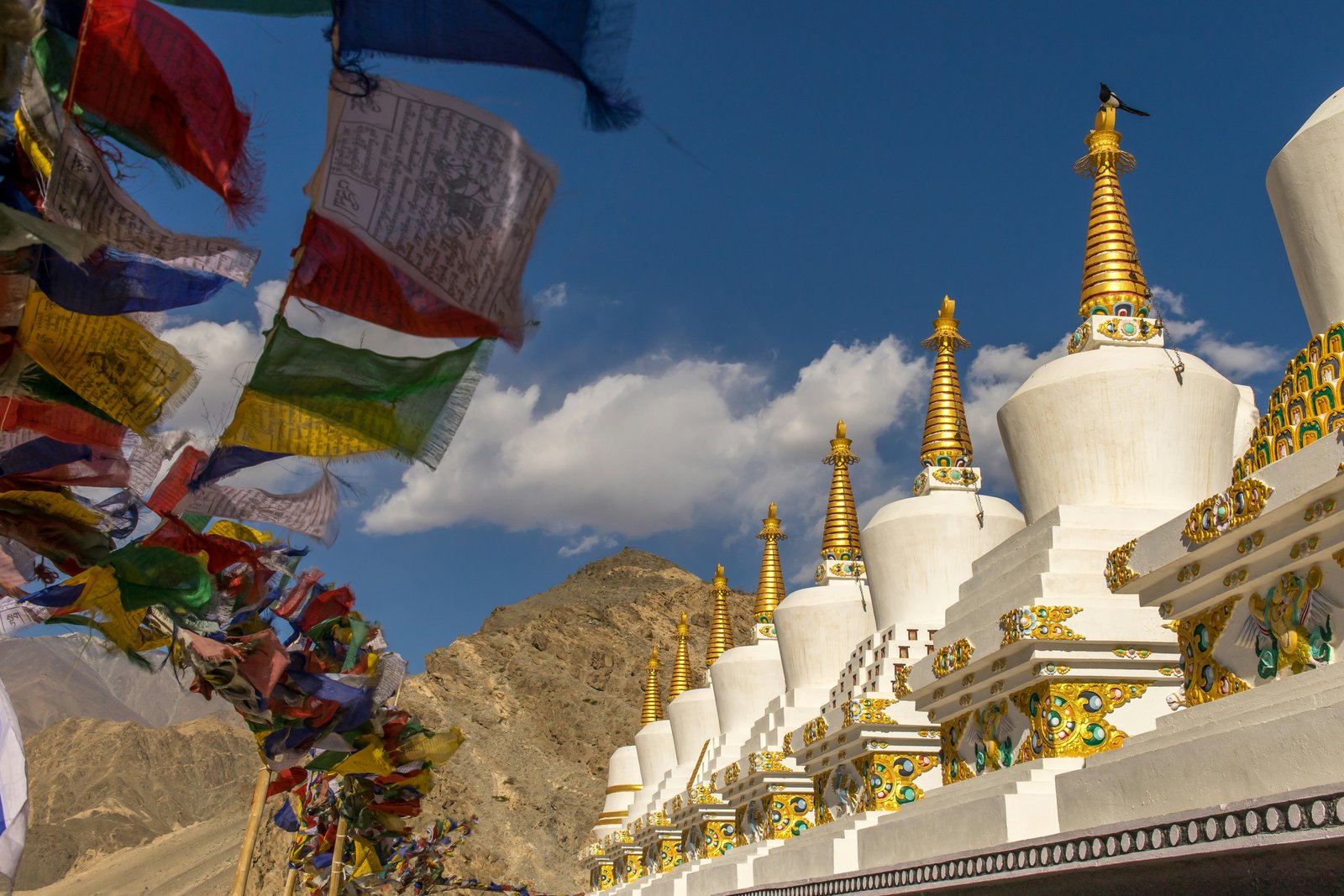 Ladakh Odyssey Tour